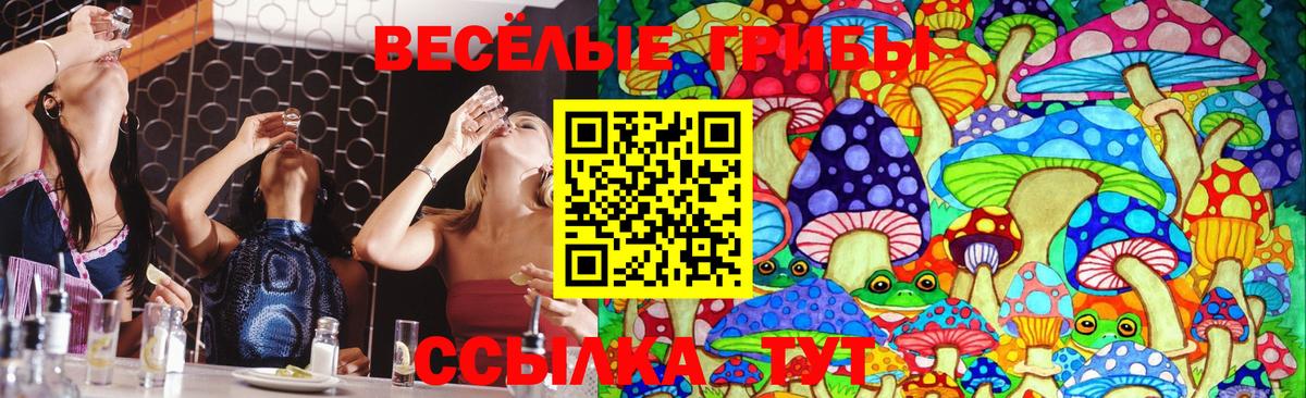 Галлюциногенные грибы мицелий Михайловск